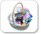 Perro con el fondo blanco